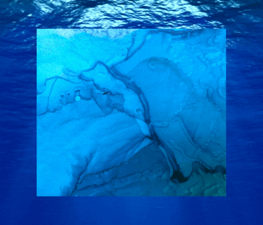 content-image-2